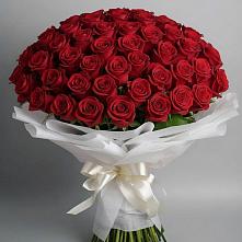 Букет 101 Красная роза Блэк Мэджик в Верхней Туре
