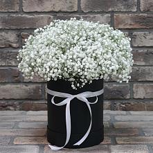 Цветочная композиция из Гипсофила в шляпной коробке в Верхней Туре