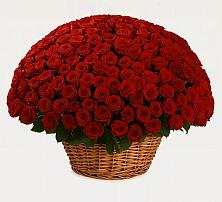 Премиум букет из: Розы в Верхней Туре